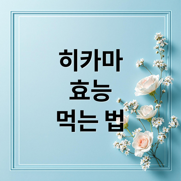 히카마
효능
먹는 법 (히카마 효능 부작용)