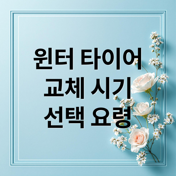윈터 타이어
교체 시기
선택 요령 (윈터 타이어 교체비용 보관료)