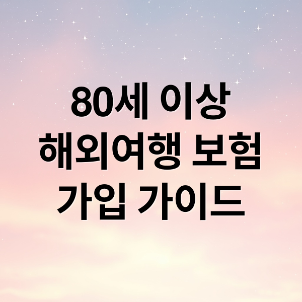 80세 이상
해외여행 보험
가입 가이드 (고령자 여행자보험)