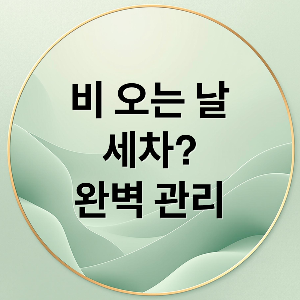 비 오는 날세차?완벽 관리 (비오는날 세차 필요성)
