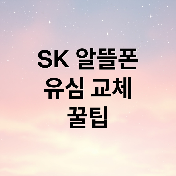 SK 알뜰폰
유심 교체
꿀팁 (SK 알뜰폰 유심)