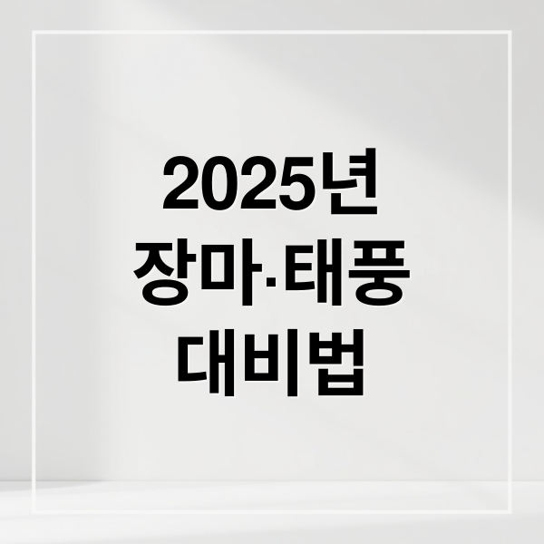 2025년
장마·태풍
대비법 (2025년 장마기간 태풍 예상 시기)