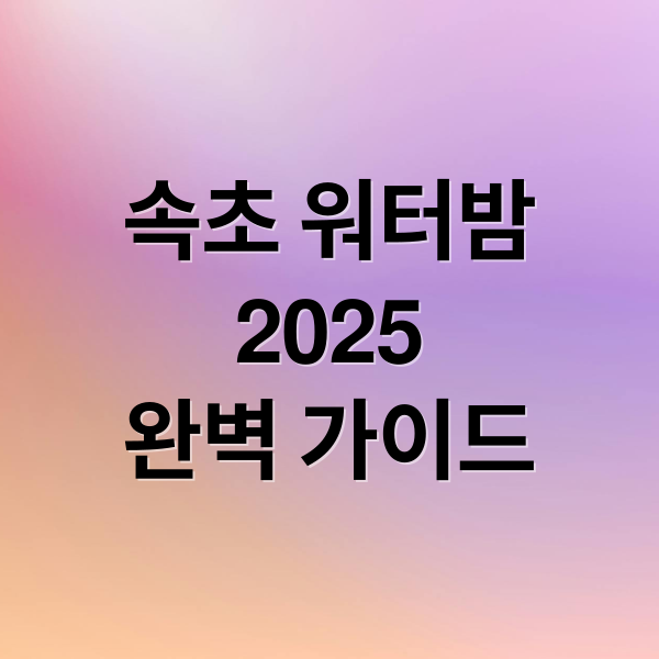 속초 워터밤
2025
완벽 가이드 (속초 워터밤 축제)