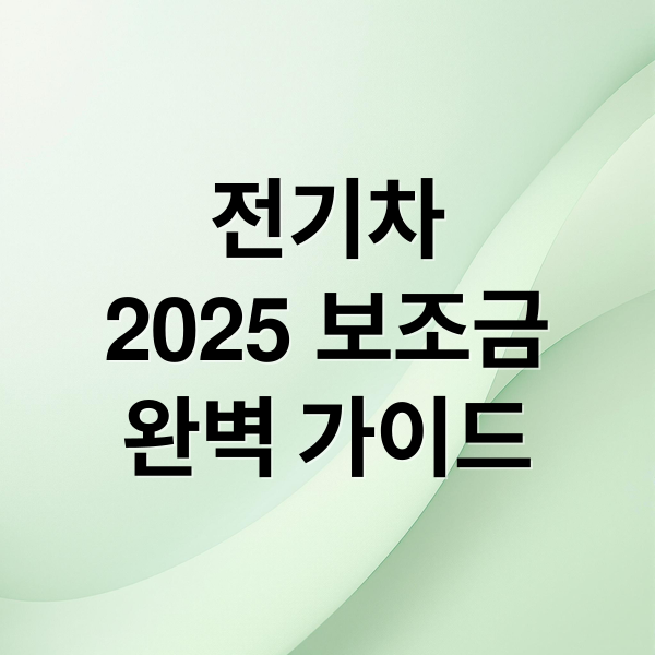 전기차
2025 보조금
완벽 가이드 (2025년 전기차 보조금)