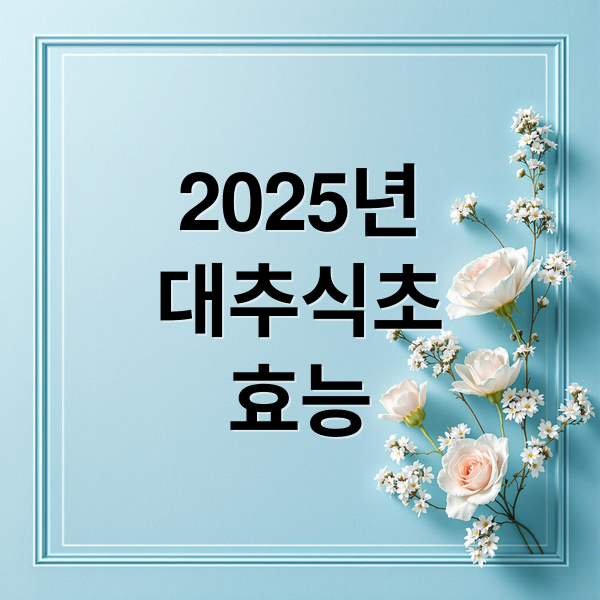 2025년
대추식초
효능 (2025 대추식초 효능)
