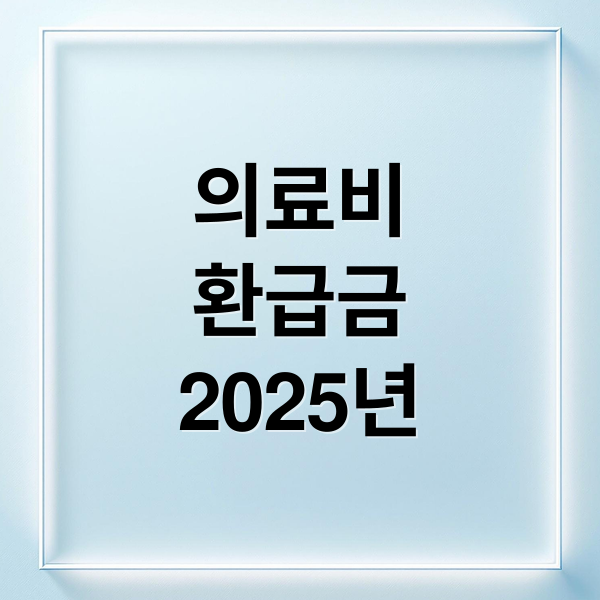 의료비
환급금
2025년 (2025 의료비 본인부담액 상한제사후 환급금 신청 조회 지급 일정)