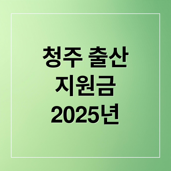 청주 출산
지원금
2025년 (청주시 출산지원금)