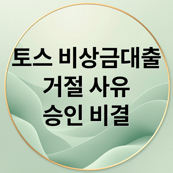 토스 비상금대출
거절 사유
승인 비결 (토스 비상금대출 거절 해결)
