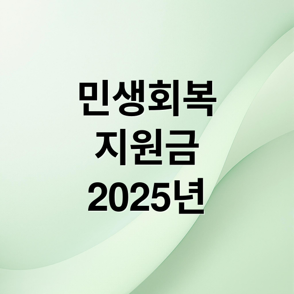민생회복
지원금
2025년 (민생회복지원금 지급금액)