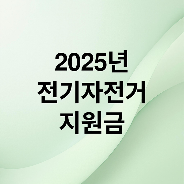 2025년
전기자전거
지원금 (전기자전거 지원금)
