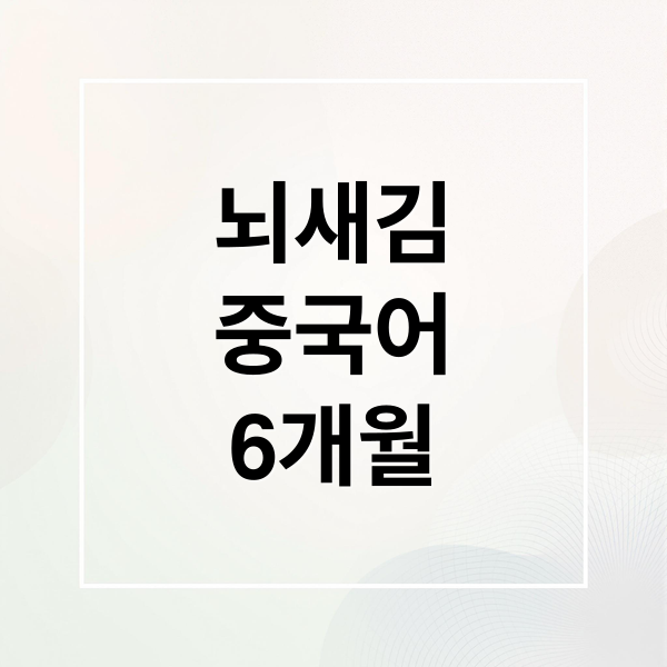 뇌새김
중국어
6개월 (뇌새김 중국어)