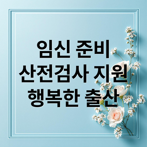 임신 준비
산전검사 지원
행복한 출산 (보건소 산전검사 지원금)