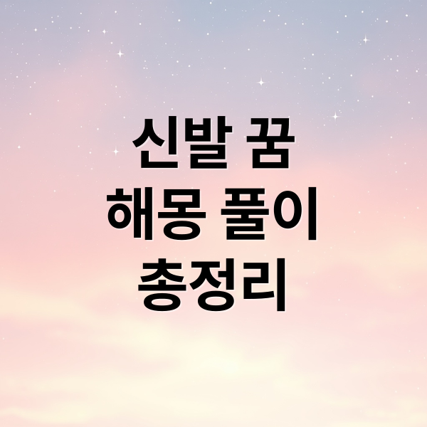 신발 꿈
해몽 풀이
총정리 (신발 훔치는 꿈 해몽)