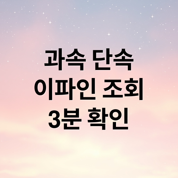 과속 단속
이파인 조회
3분 확인 (과속 단속 조회)