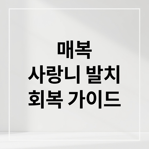 매복
사랑니 발치
회복 가이드 (매복 사랑니 발치 후유증 회복)