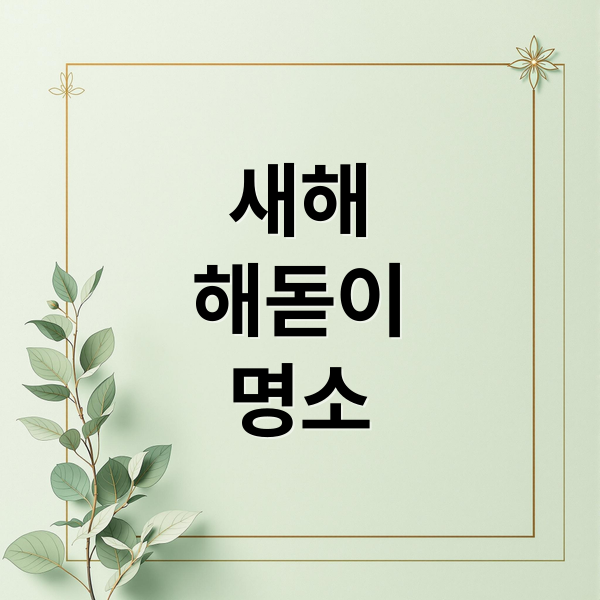 새해
해돋이
명소 (해돋이 시간)