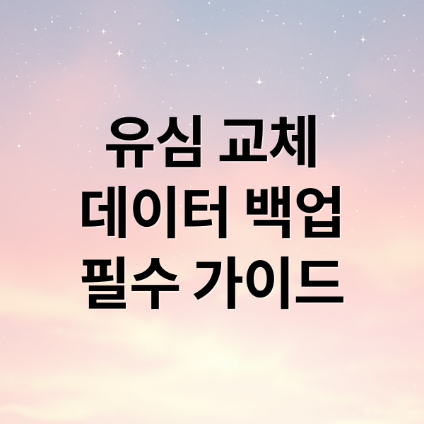 유심 교체
데이터 백업
필수 가이드 (SKT 유심 교체 데이터 백업)