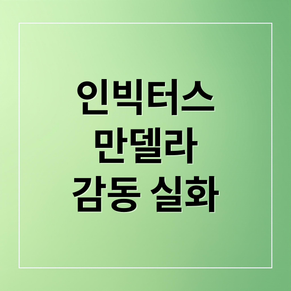 인빅터스
만델라
감동 실화 (인비터스 (Invictus, 2009))