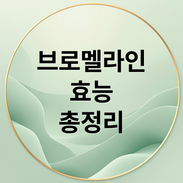 브로멜라인
효능
총정리 (브로멜라인 효능 부작용 섭취량)