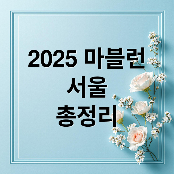 2025 마블런
서울
총정리 (마블런)