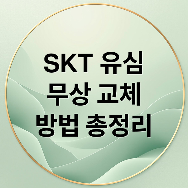 SKT 유심
무상 교체
방법 총정리 (sk텔레콤 유심 무상교체 대리점)