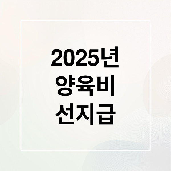 2025년
양육비
선지급 (양육비 선지급제 조건 방법 유의사항)