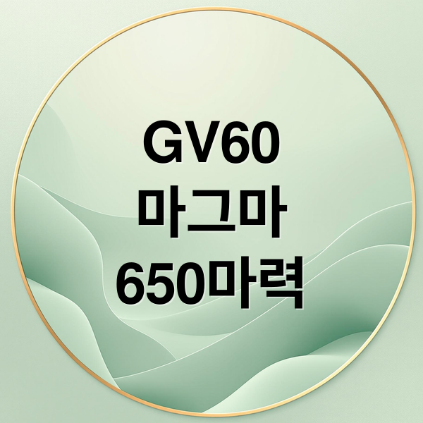 GV60
마그마
650마력 (제네시스 GV60 마그마 650마력)
