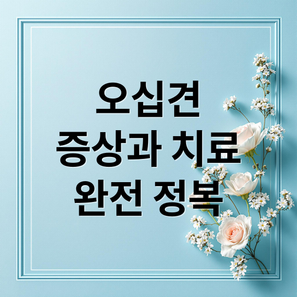 오십견
증상과 치료
완전 정복 (오십견 치료방법 8가지)