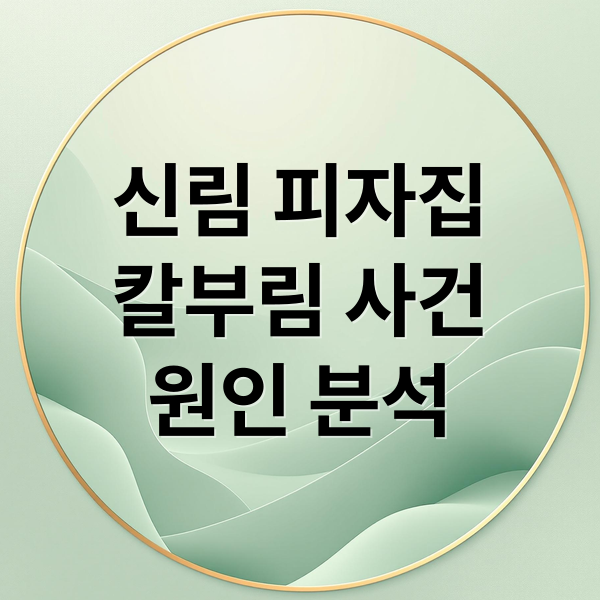 신림 피자집
칼부림 사건
원인 분석 (신림동 피자집 칼부림 사건)