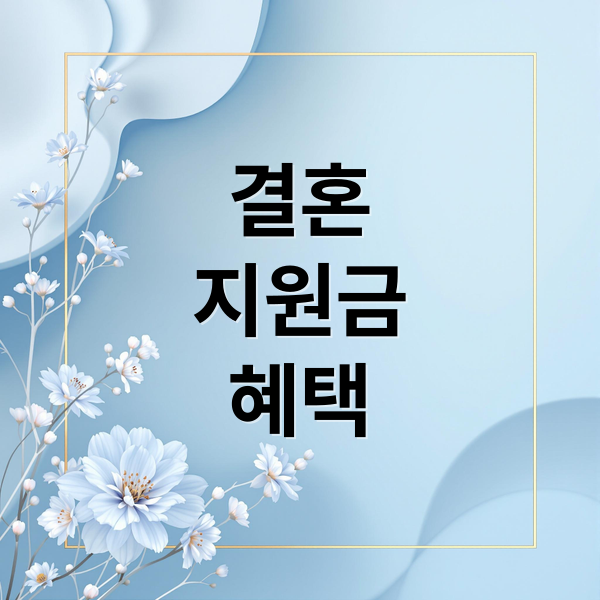 결혼
지원금
혜택 (결혼 지원금)