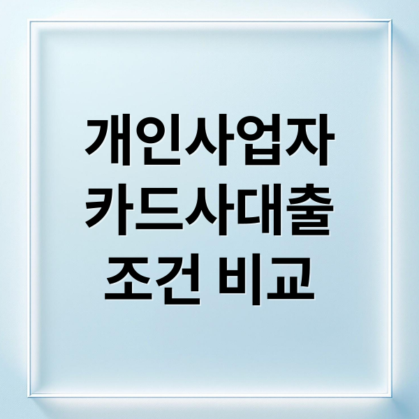 개인사업자
카드사대출
조건 비교 (개인사업자 카드사 대출)