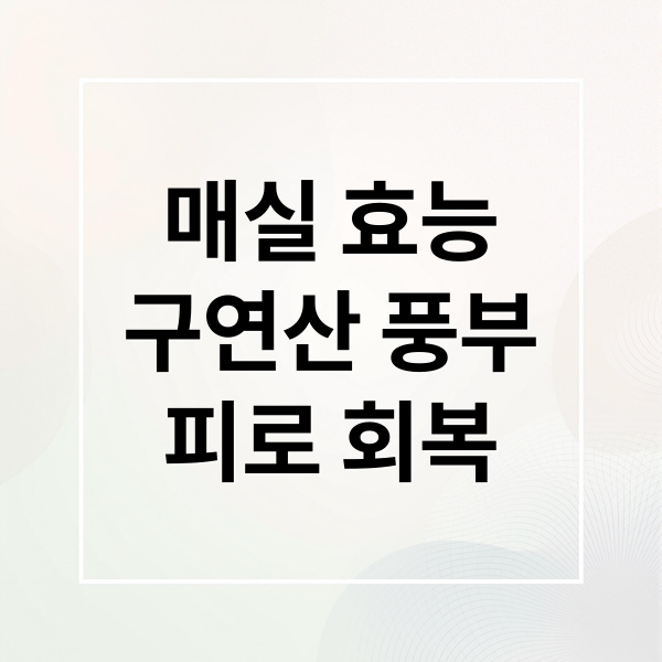 매실 효능
구연산 풍부
피로 회복 (매실 효능 치매 예방 구연산)