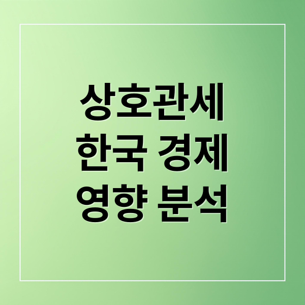 상호관세
한국 경제
영향 분석 (상호관세 뜻)