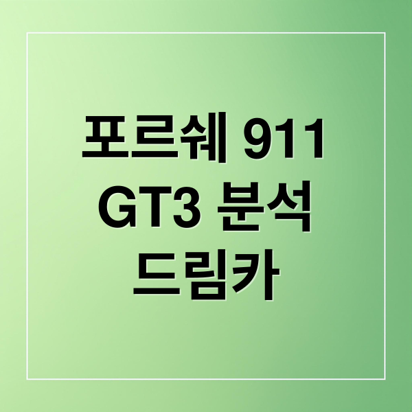 포르쉐 911
GT3 분석
드림카 (포르쉐 911 GT3 드림카)