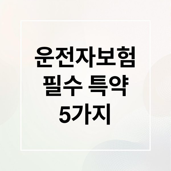 운전자보험
필수 특약
5가지 (운전자보험 필수 특약)