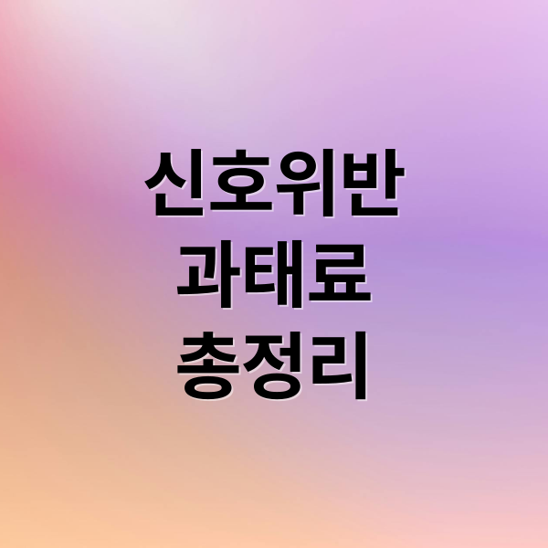 신호위반
과태료
총정리 (신호위반 과태료 이의신청)