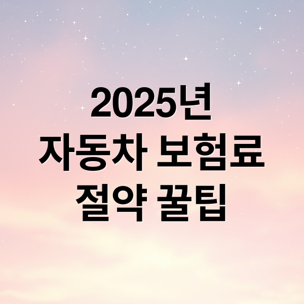 2025년
자동차 보험료
절약 꿀팁 (자동차 보험료 절감 방법)