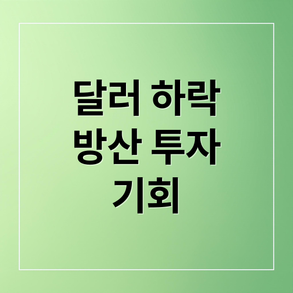 달러 하락
방산 투자
기회 (달러인덱스를 관점으로 대한민국 방산 산업에 투자 타이밍을 어떻게 잡는게 좋을지 알려줘)
