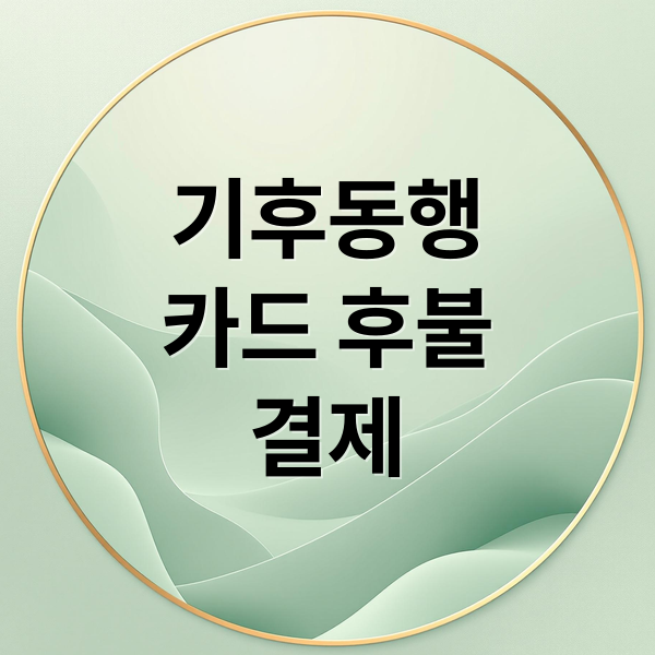 기후동행
카드 후불
결제 (기후동행카드 후불 결제)