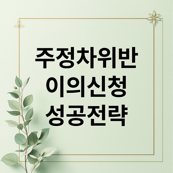 주정차위반
이의신청
성공전략 (주정차 위반 이의신청 방법)