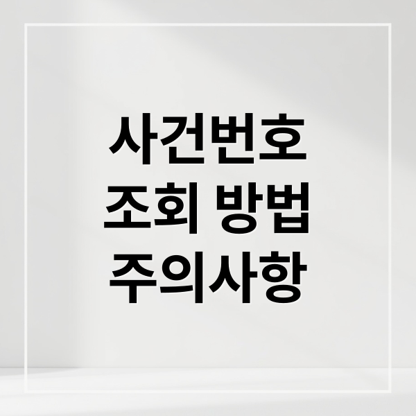 사건번호
조회 방법
주의사항 (사건번호 조회 방법)