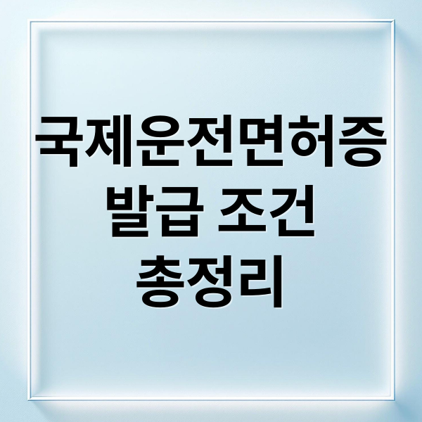 국제운전면허증
발급 조건
총정리 (국제운전면허증)