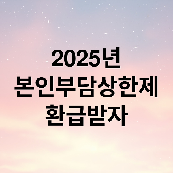 2025년
본인부담상한제
환급받자 (본인부담상한제 환급 2025)