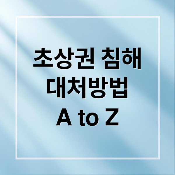 초상권 침해
대처방법
A to Z (초상권 침해 사진 도용)