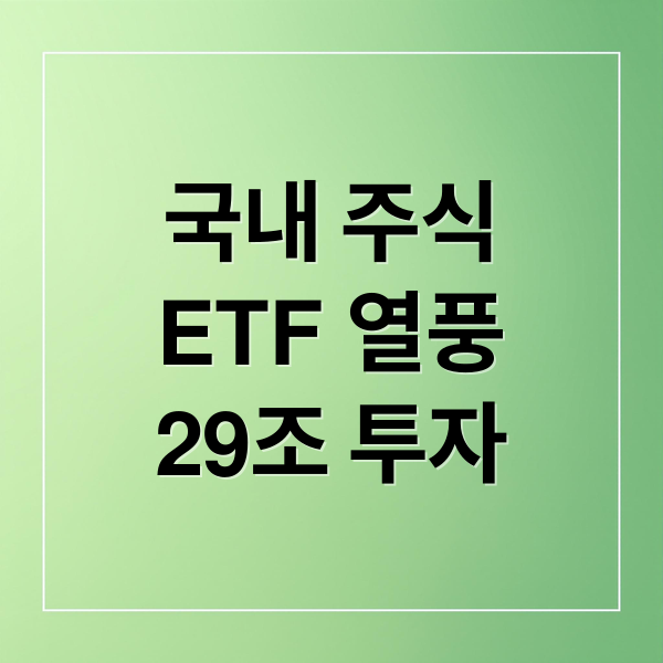 국내 주식
ETF 열풍
29조 투자 (국내 주식 ETF 29조원 투자열풍)