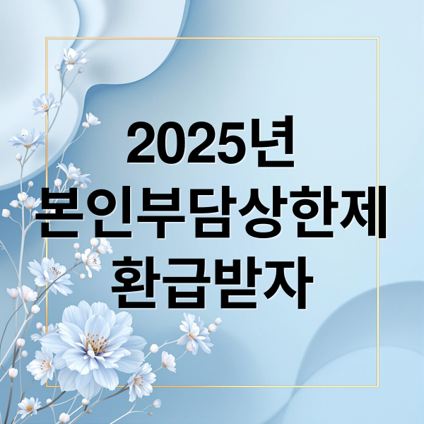 2025년
본인부담상한제
환급받자 (본인부담상한제 환급)