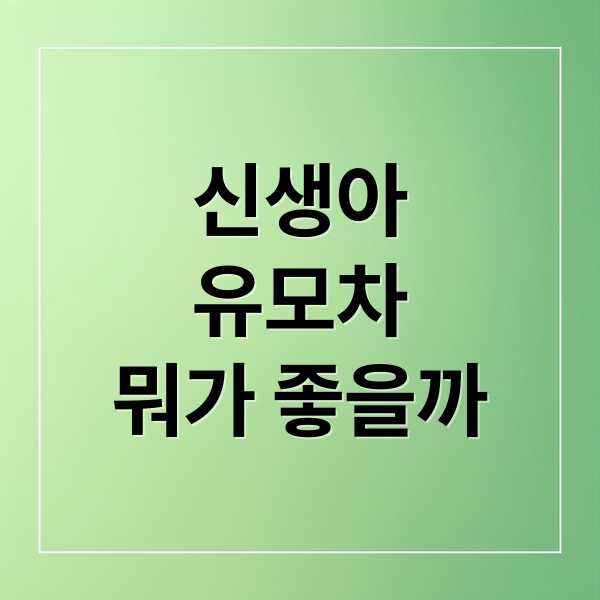 신생아
유모차
뭐가 좋을까 (신생아 유모차 디럭스 트라이크 비교)