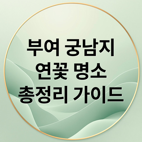 부여 궁남지
연꽃 명소
총정리 가이드 (부여 궁남지 연꽃 명소)