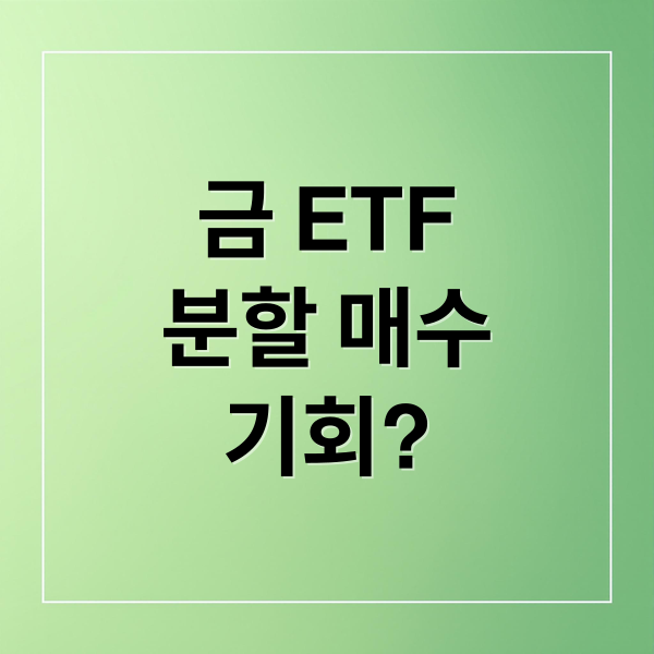 금 ETF
분할 매수
기회? (금 ETF 분할 매수)