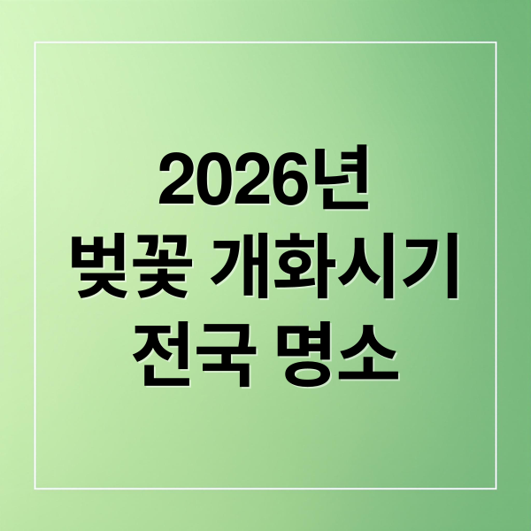 2026년
벚꽃 개화시기
전국 명소 (벚꽃 명소 부산 서울 TOP 8)